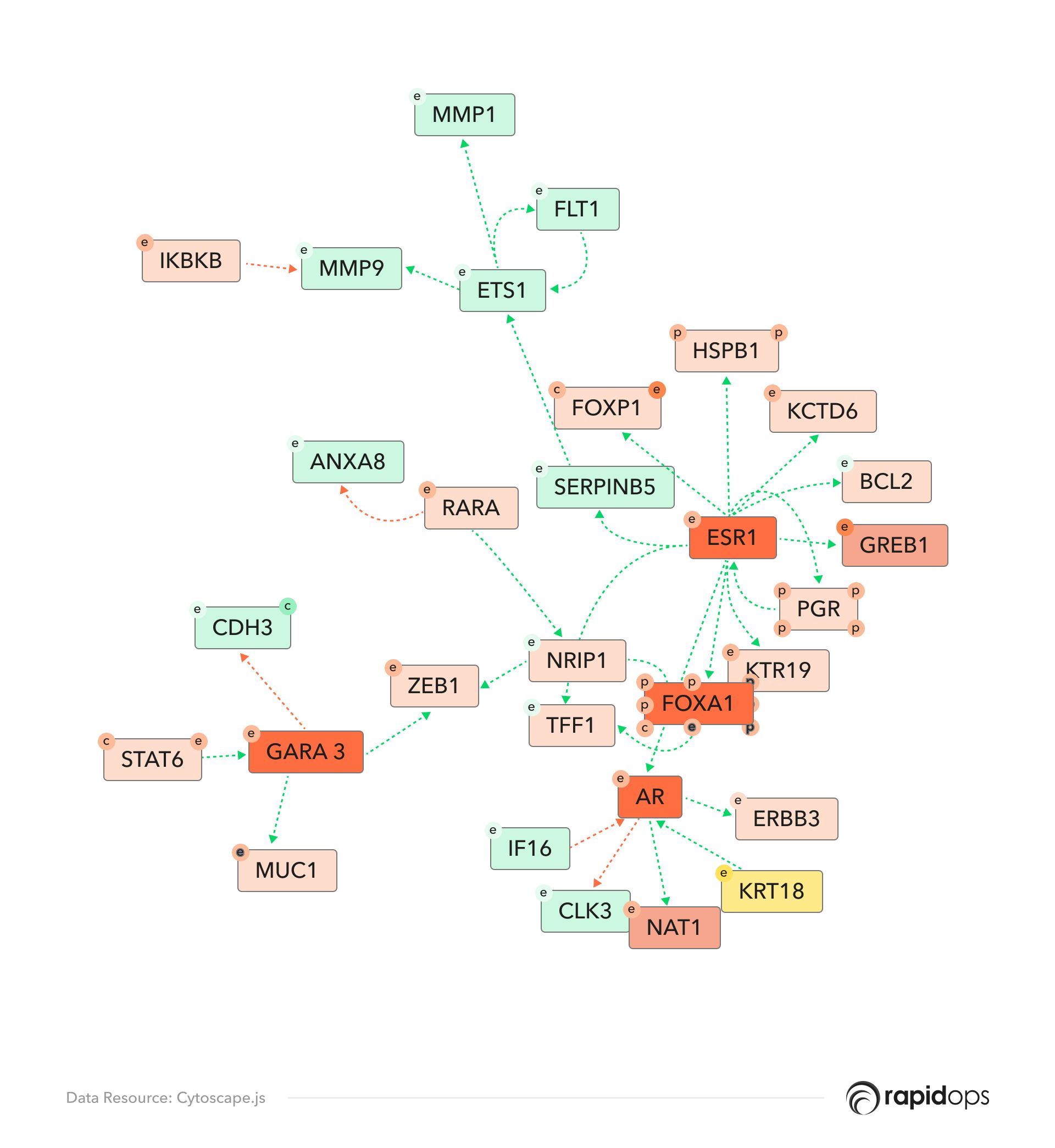 Graphical representation using Cytoscape.js